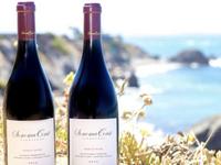 Sonoma Coast Vineyards