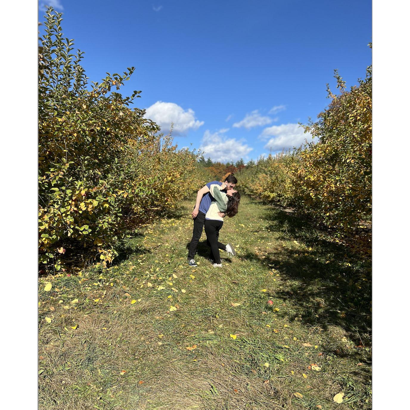 Apple Picking