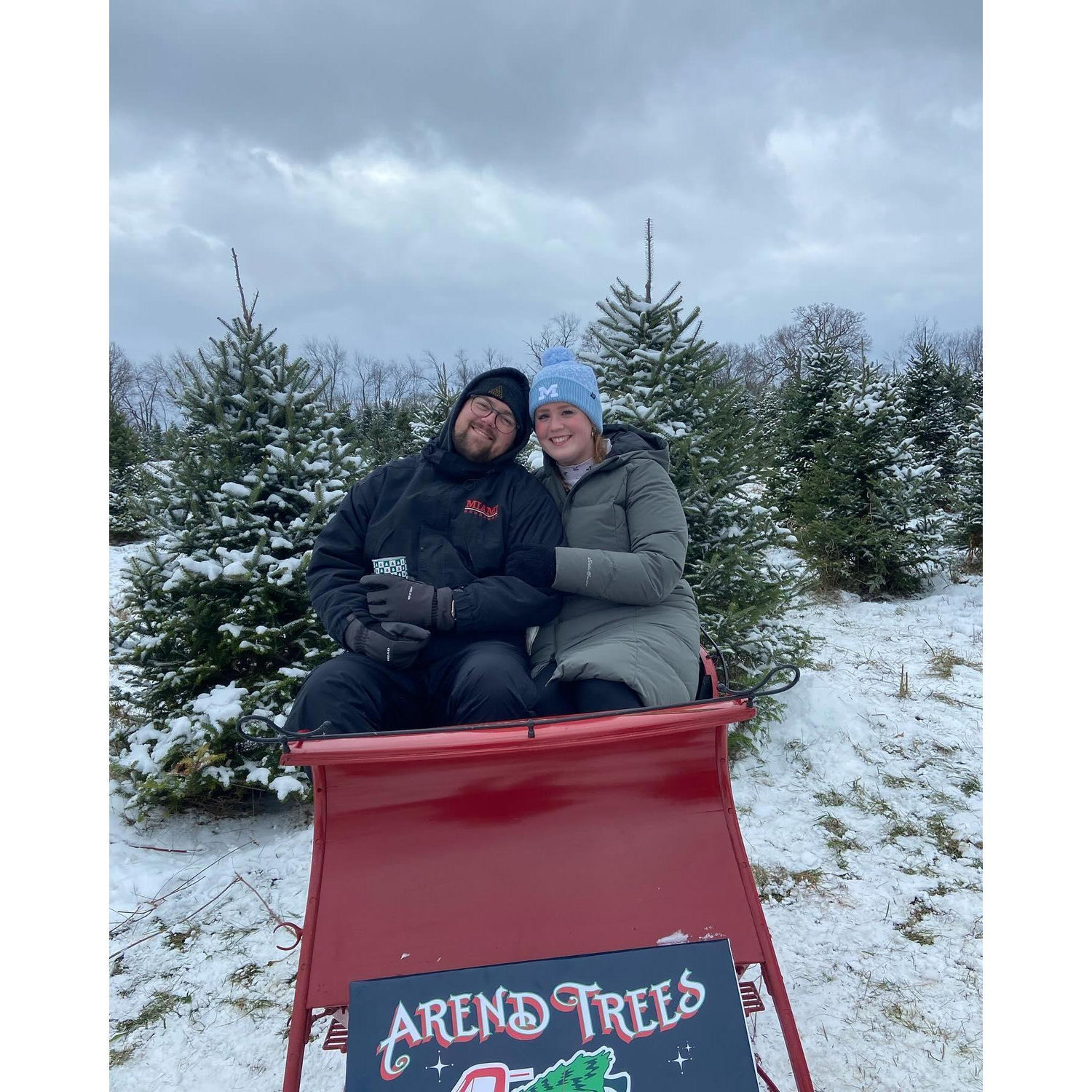 Second year at the Christmas Tree Farm