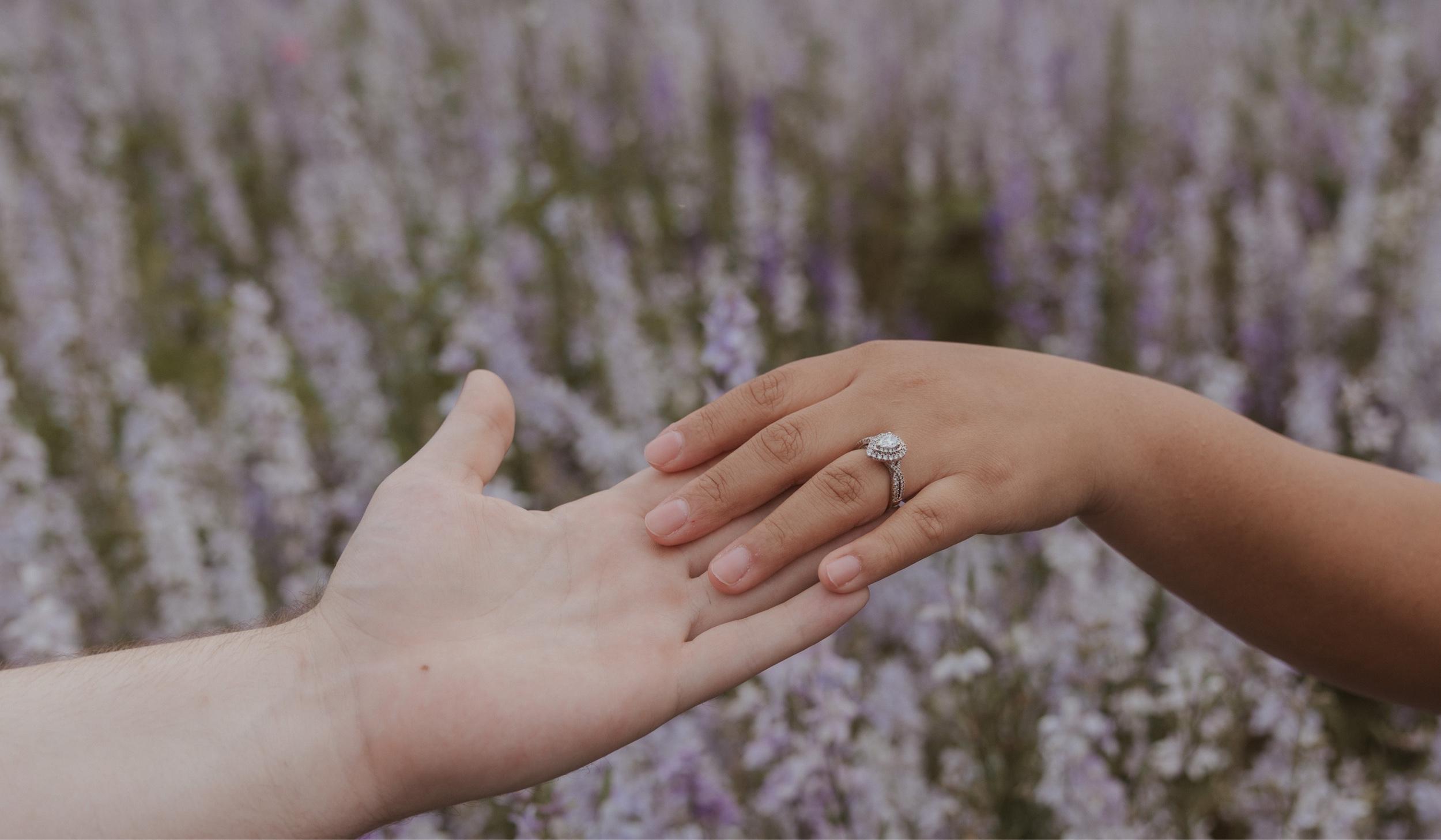 The Wedding Website of Patsy Saldivar and Daniel Wetrick