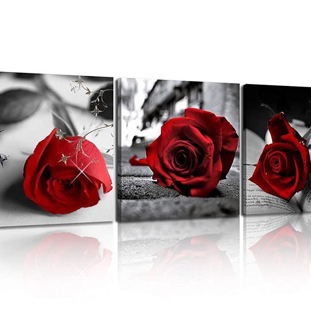 NAN Wind Canvas Print 3 Pcs Black and White Red Rose Canvas Art Painting Abstract Wall Art Decorations Flower Picture on Canvas for Home Decor Valentines Gift Stretched and Framed 12X12inches