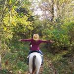 Jordan Hollow Stables