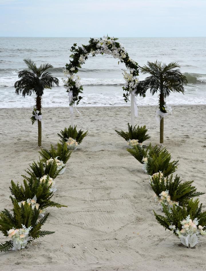 The Wedding Website of Sherieff Giddens and Charles Fennell