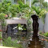 Visit the Hope Botanical Gardens and Zoo