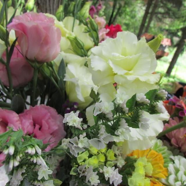 Flower CSA!