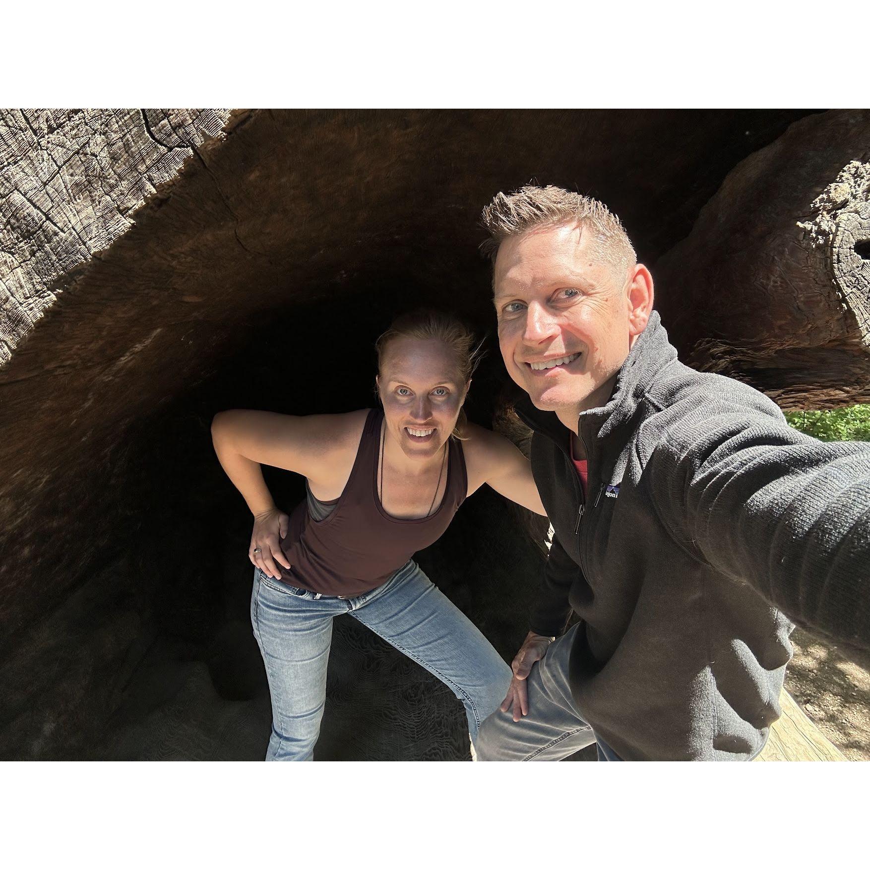 Exploring the inside of a tree in Redwood National Park