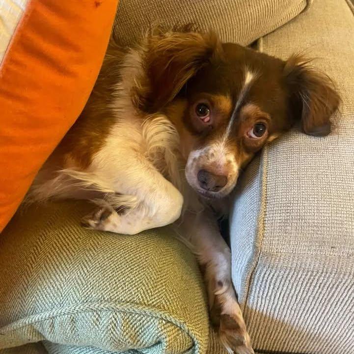 Sweetest baby Benny!