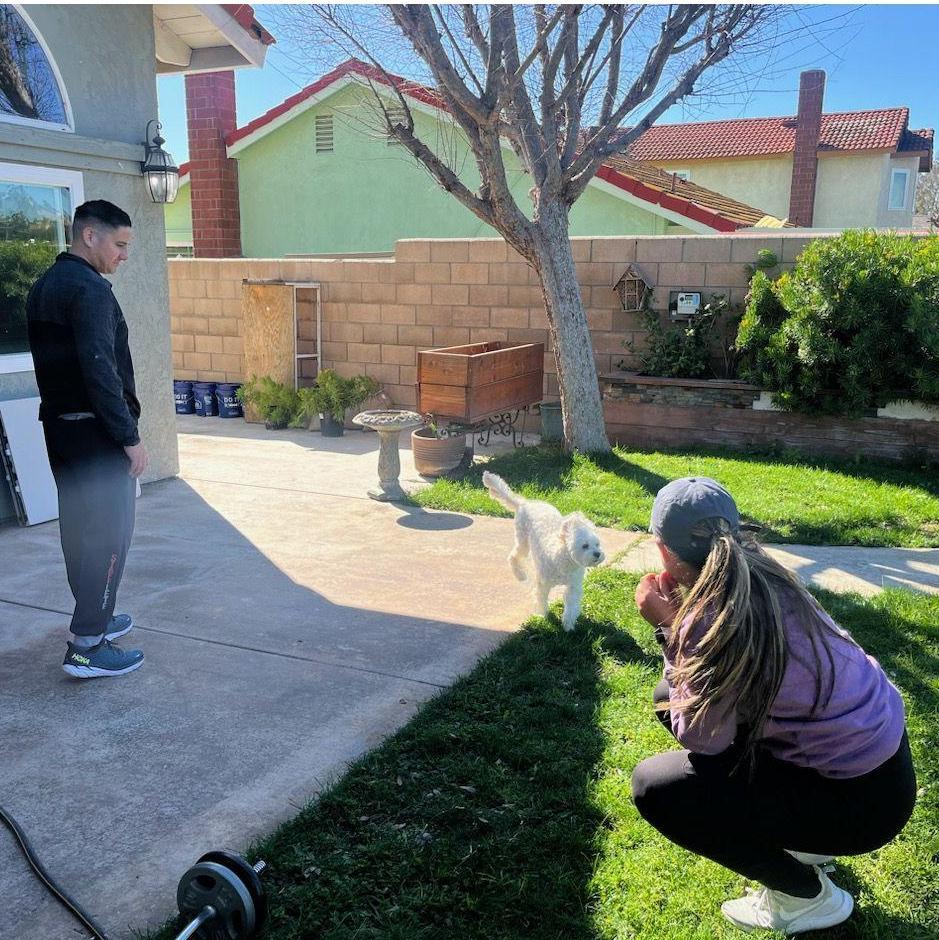 When we finally bought our puppy a home (crying emoji)