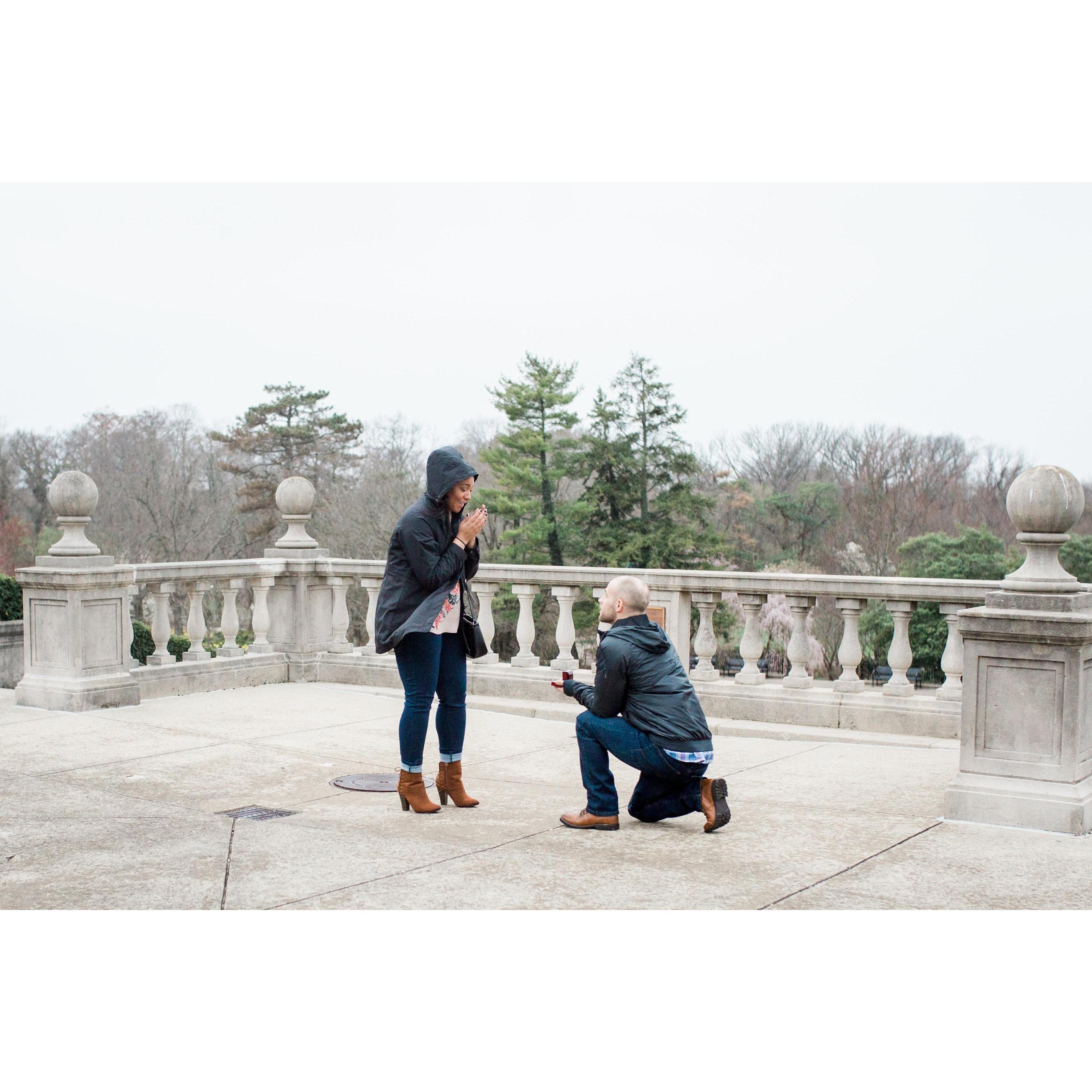 Alex Marie Photography