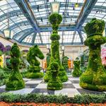 Bellagio Conservatory & Botanical Gardens