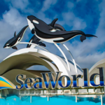 SeaWorld San Diego