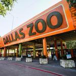 Dallas Zoo