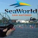 SeaWorld San Antonio