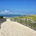 Cape Henlopen State Park & North Shore Beach