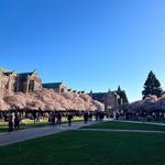 The Quad - University of Washington