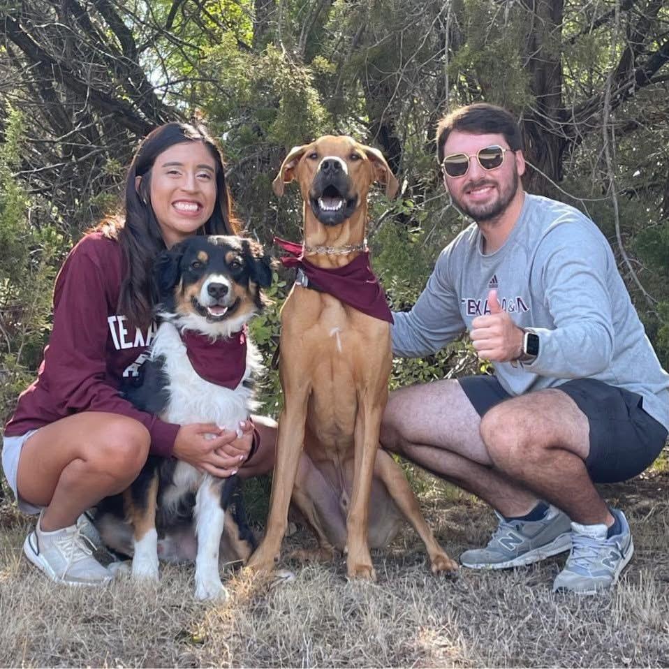 Bringing home Diesel — because apparently we collect dogs now