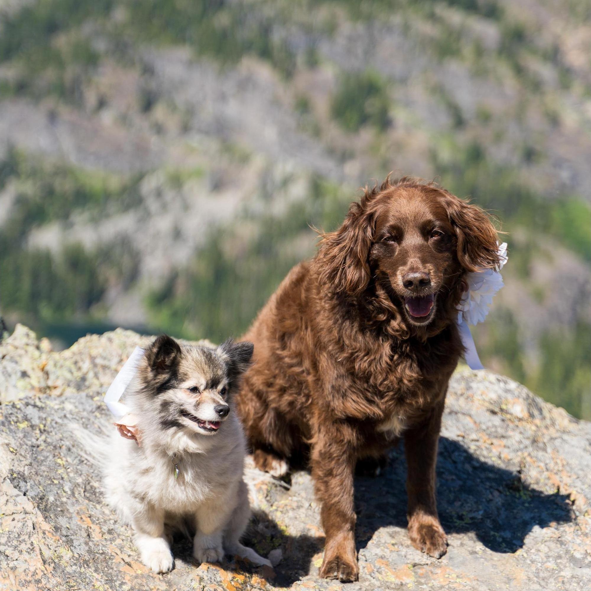 Frankie and Reggie