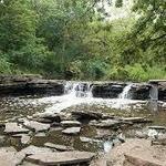 Waterfall Glen Forest Preserve
