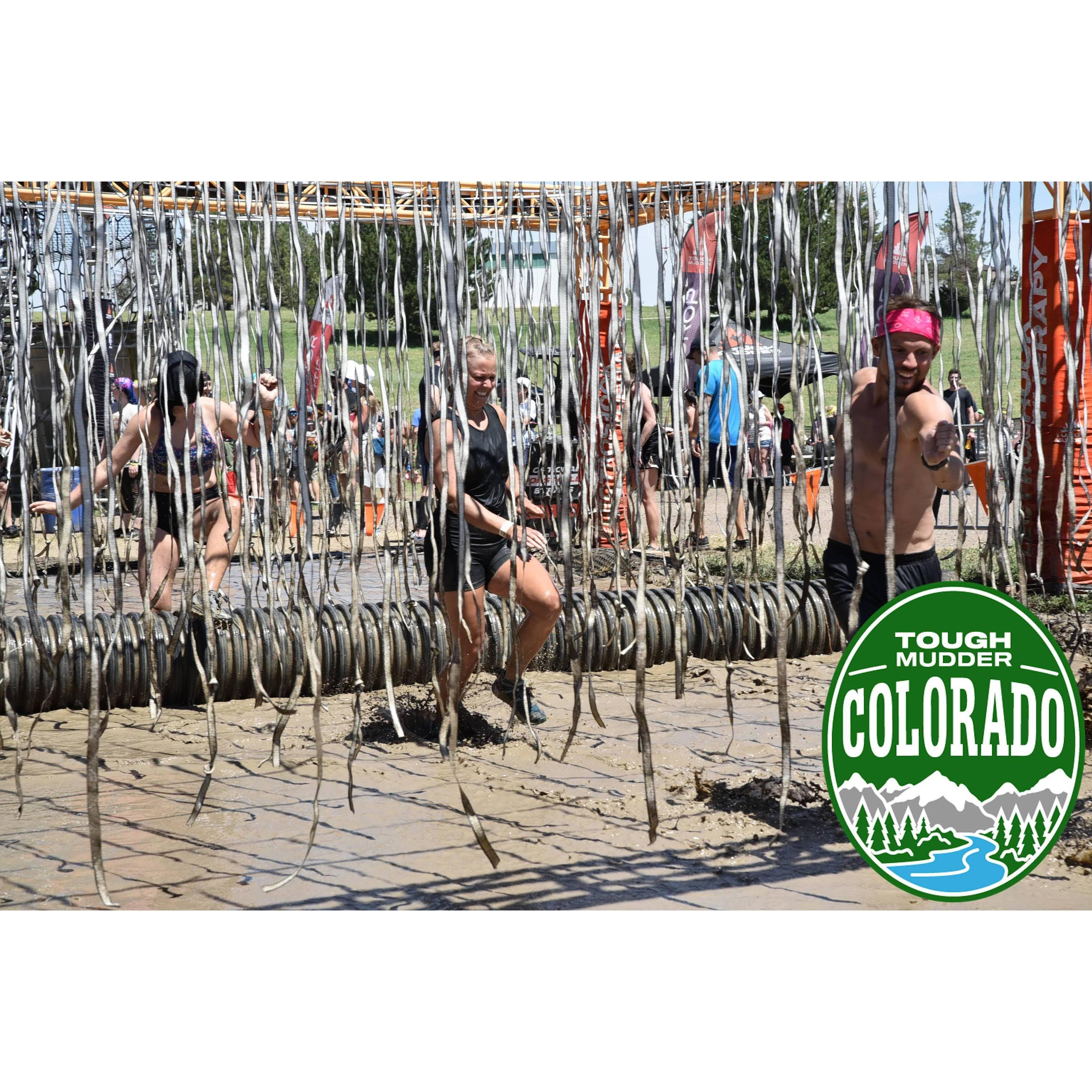 the true relationship test.. 10,000 volts!