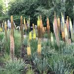 Denver Botanic Gardens