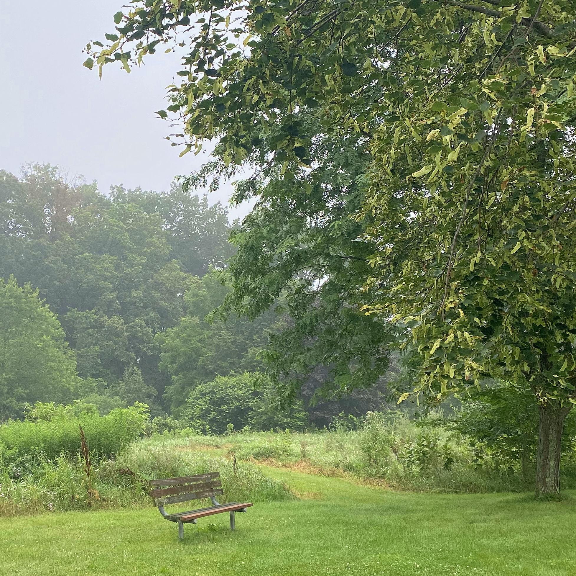 Hero Slideshow Image 1