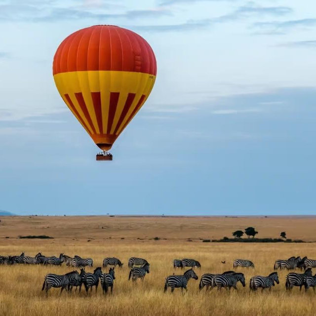 Hot Air Balloon Safari On Our Honeymoon