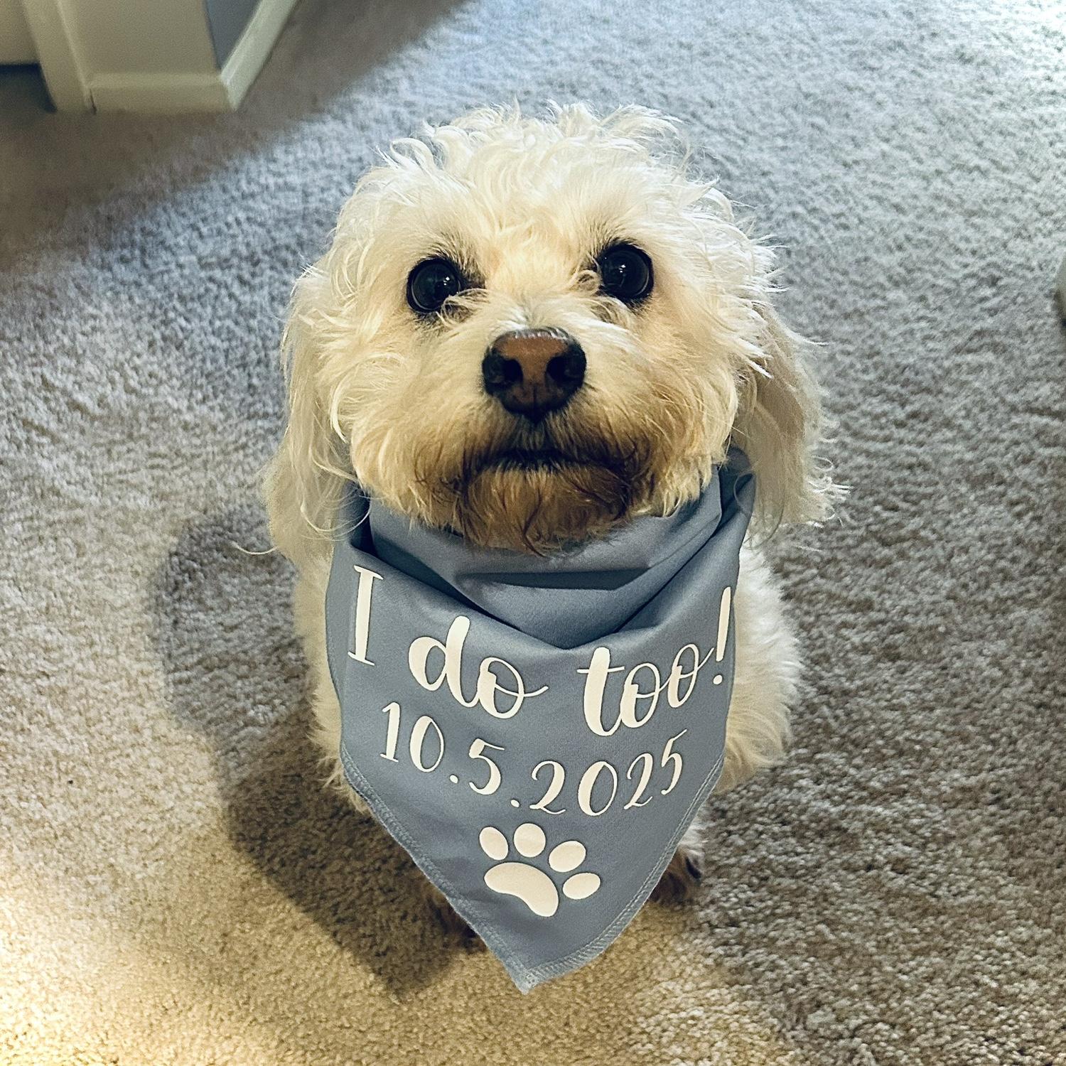 Lucy! 🐾
