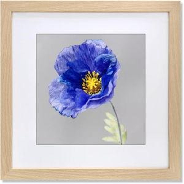 16" x 16" Picture Frames