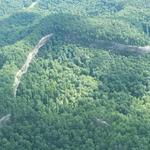 Daniel Boone National Forest