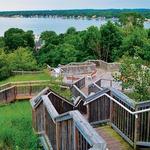 Mount Pisgah Dune Boardwalk