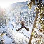 Ziptrek Ecotours