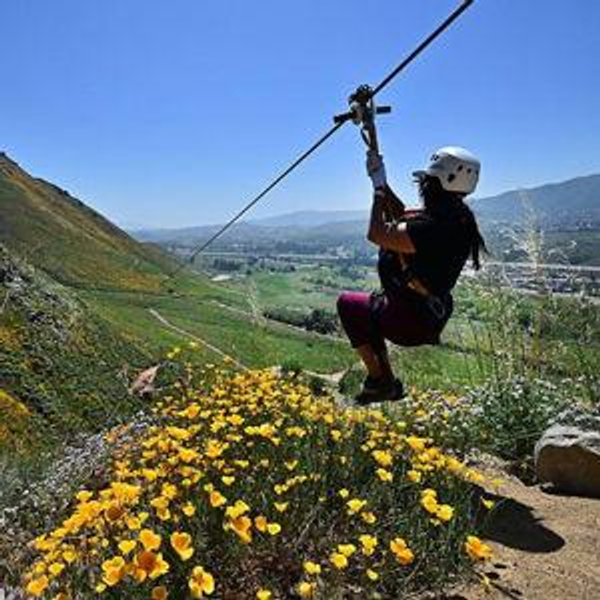 Original Zipline Course - Corona, CA | Skull Canyon Ziplines
