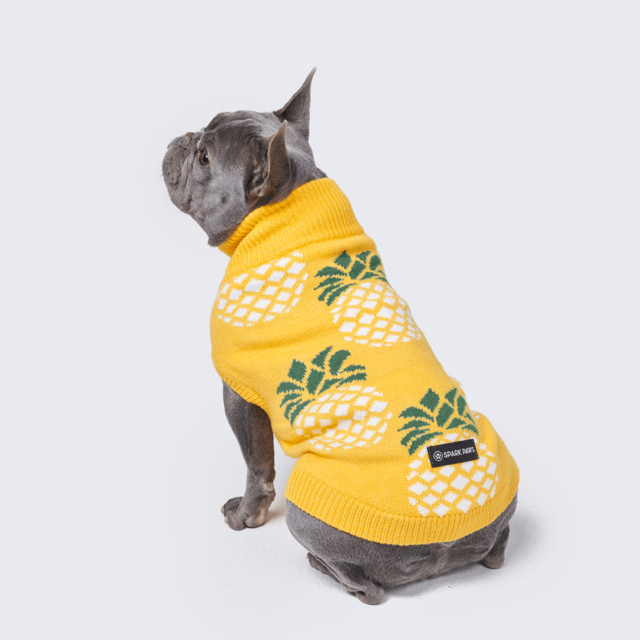 Pineapple Knit Dog Sweater