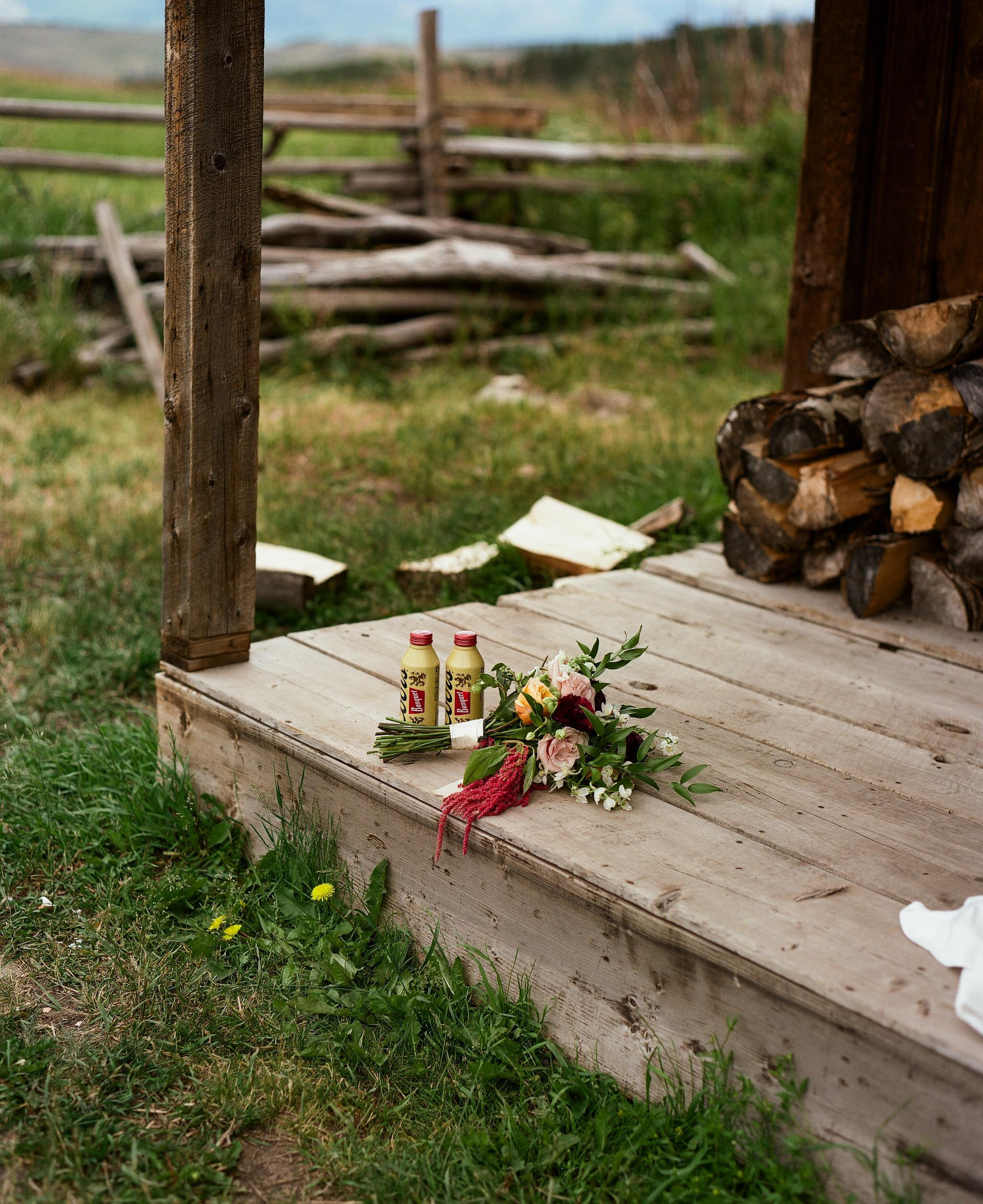 The Wedding Website of Mikaela Beach and Davis Gerber