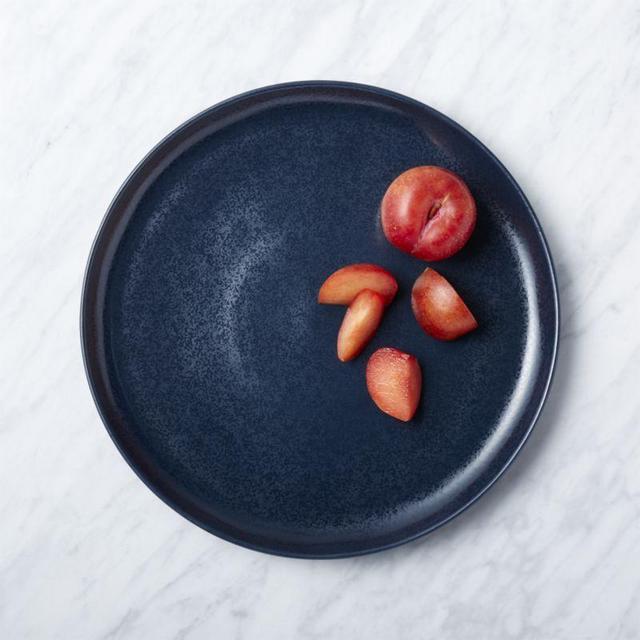 Visto Navy Stoneware Dinner Plate