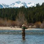 Fishing in the Bitterroot