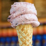 SANDERS & SONS GELATO
