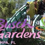 Busch Gardens Tampa Bay