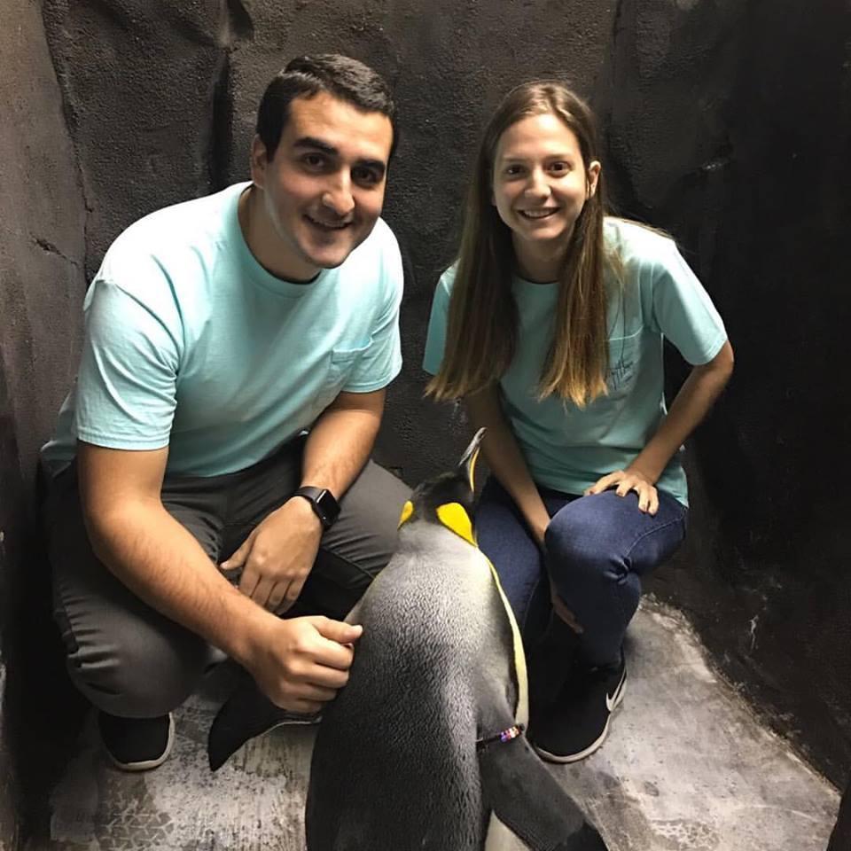 BTS penguin tour at Seaworld