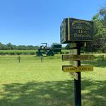 Charleston Tea Garden