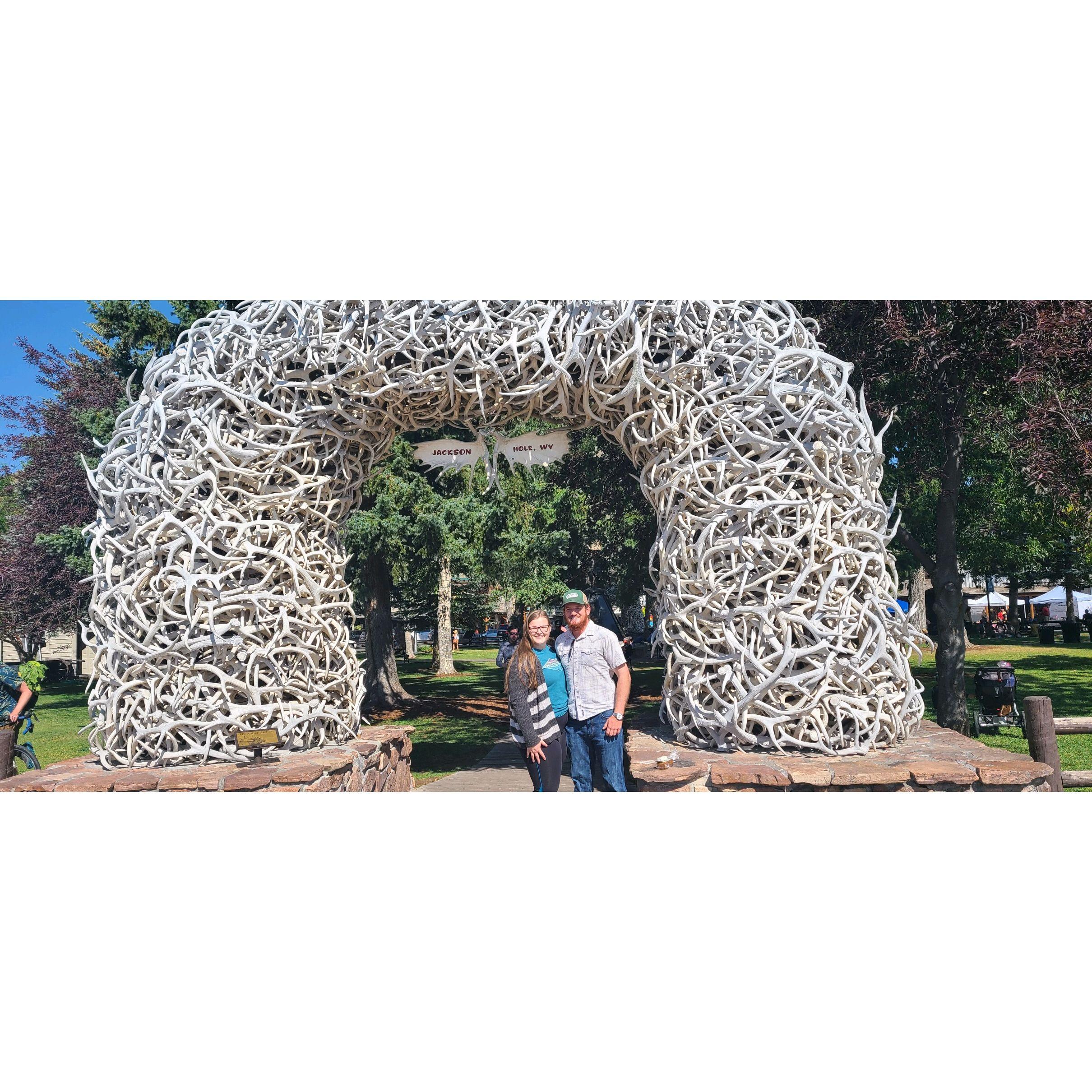 In Jackson Hole on the Way to Yellowstone