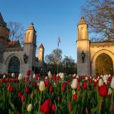 Sample Gates