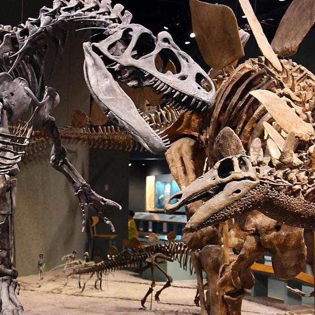 Denver Museum of Nature and Science Membership