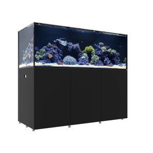 REEF LX 290.6 - Black / Plus Edition