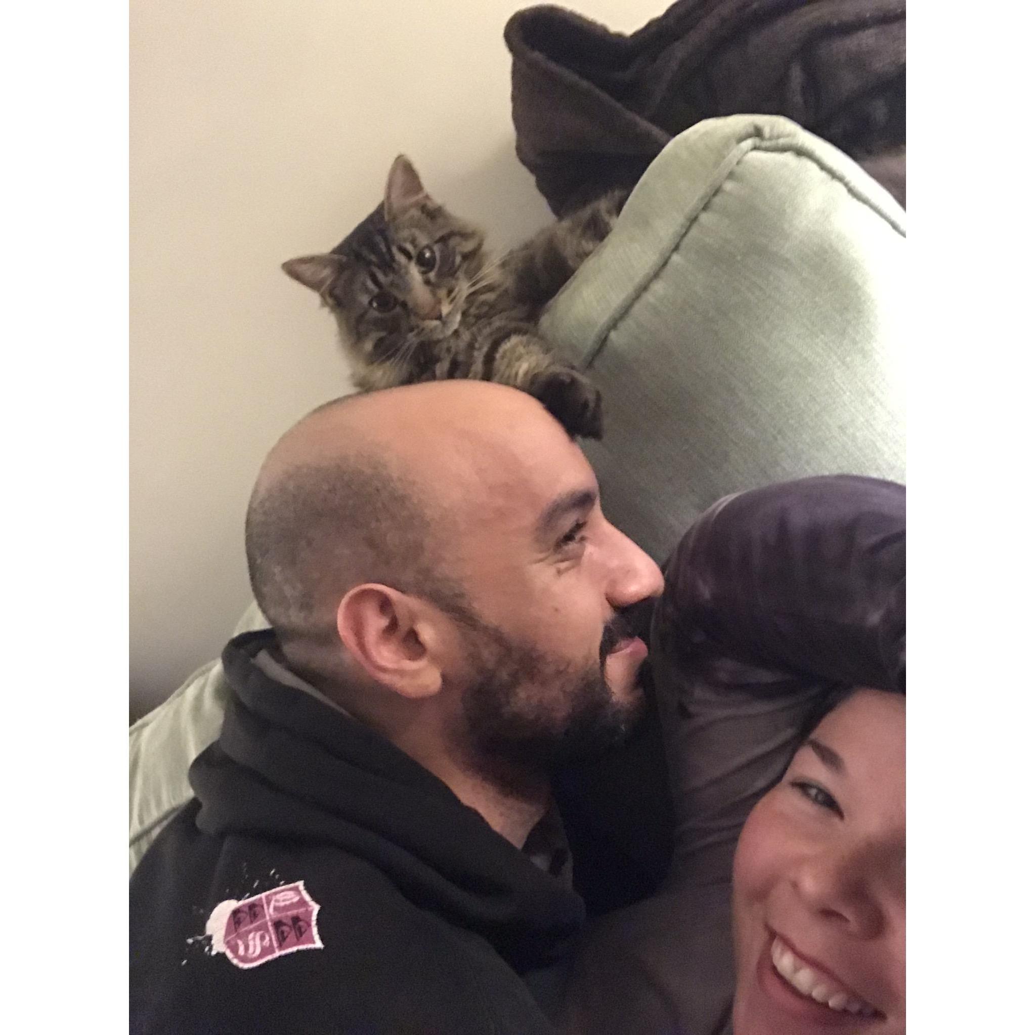 Romeo! Hanging on the couch with kitties, a favorite past time.