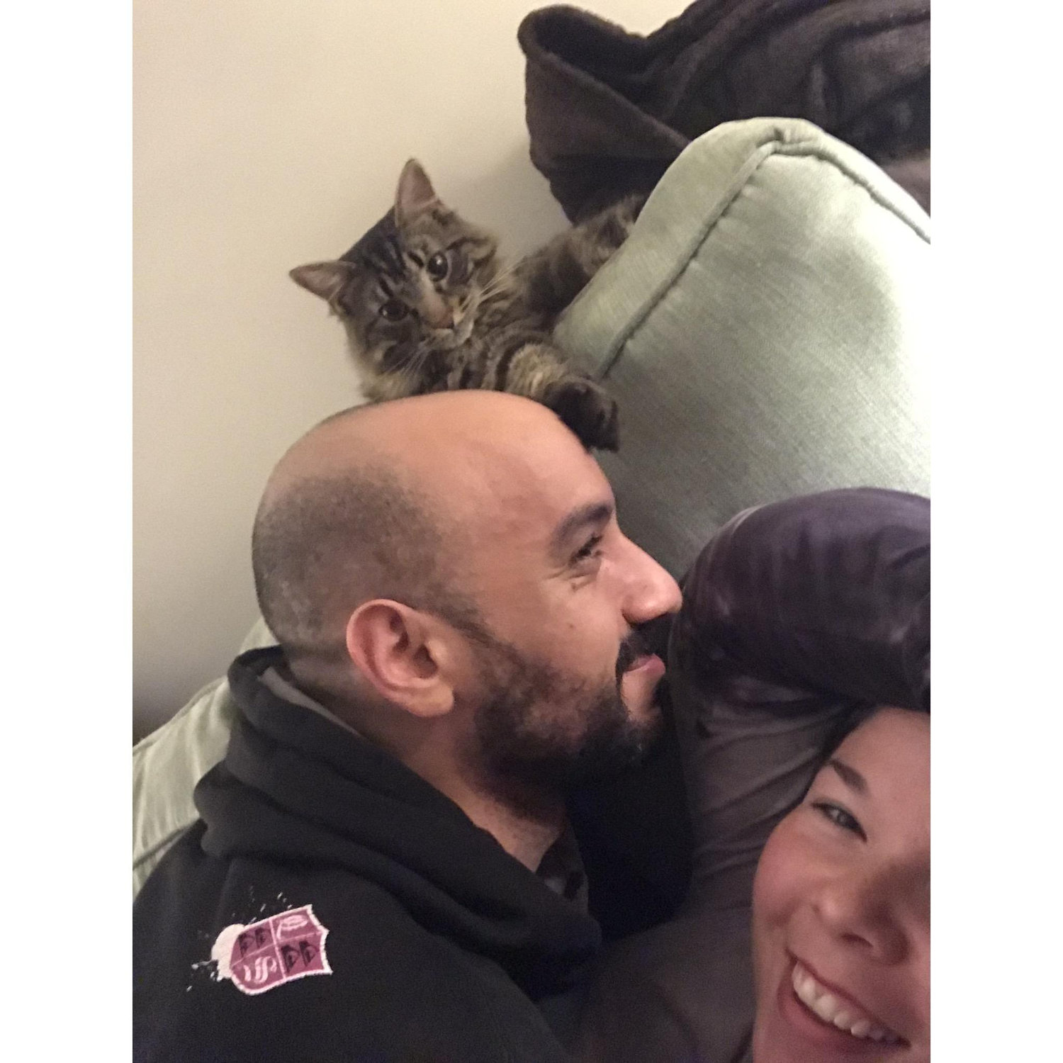 Romeo! Hanging on the couch with kitties, a favorite past time.