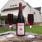 SpringGate Vineyard & Brewery