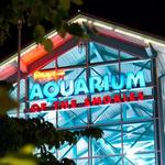 Ripley's Aquarium of the Smokies