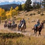 Horseback Riding
