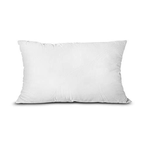 EDOW Throw Pillow Insert, Lightweight Soft Polyester Down Alternative Decorative Pillow, Sham Stuffer, Machine Washable. (White, 12x20)